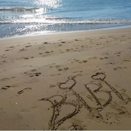 Modern With Large Terrace