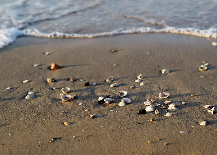 Modern With Large Terrace Lägenhet