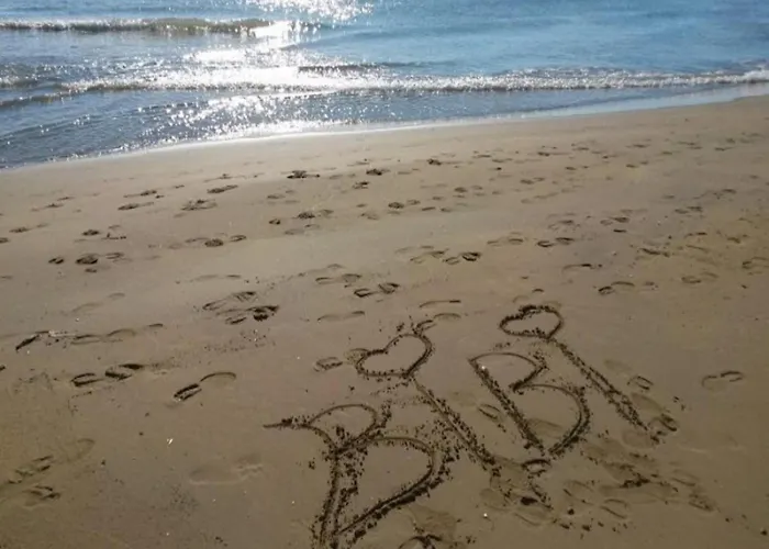 Modern With Large Terrace