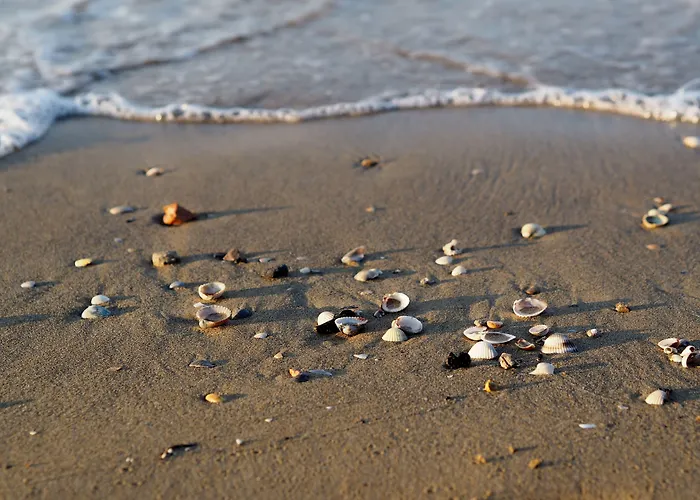 Modern With Large Terrace Apartman Bibione